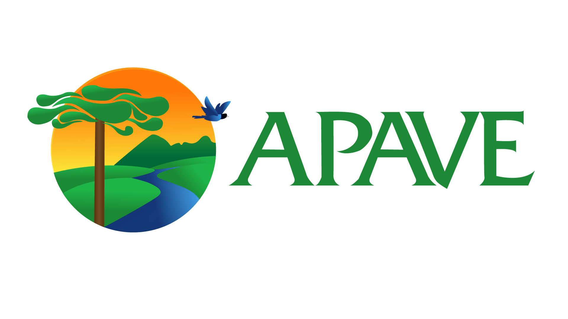 APAVE 1